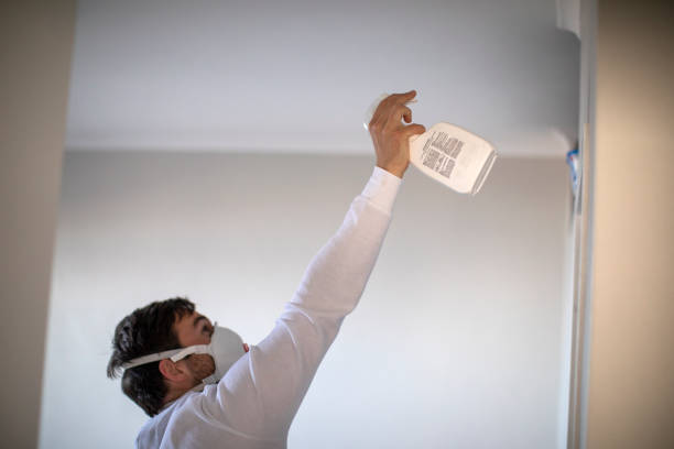 Best Localized Mold Remediation (e.g., coastal areas, humid climates) in Haledon, NJ
